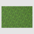 Search for green grass tissue paper Lawn