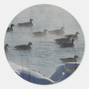 Search for canadian geese stickers Waterfowl