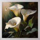 Search for calla lily art White flowers