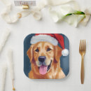 Search for golden retriever christmas plates Santa