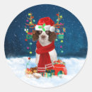 Search for springer spaniel stickers Pet