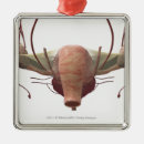 Search for rear christmas tree decorations Body