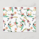 Search for spring flower postcards Daisies