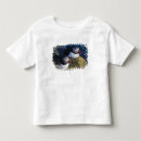 Search for arctica Blue