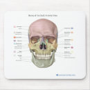 Search for anatomy skull electronics Medical