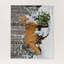 Search for winter fox puzzles Animals