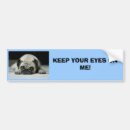 Search for keeps bumper stickers Cars