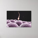Search for fertilisation art Three dimensional