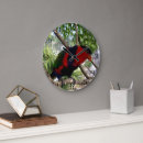 Search for lorikeet Australian