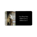 Search for equine return address labels Horses