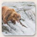 Search for catching coasters Animal