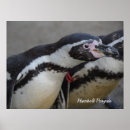 Search for zoo bird art Photography