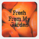 Search for pepper stickers Chili peppers