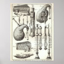 Search for scottish music posters Bagpipes
