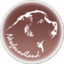 Search for newfoundland dog bumper stickers Puppy