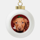 Search for pup christmas tree decorations Funny