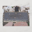 Search for buffalo bill William cody
