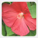 Search for bright flower stickers Nature
