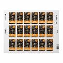 Search for halloween book accessories Witch