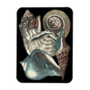 Search for seashells magnets Conch