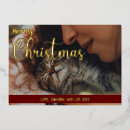 Search for kitten christmas cards Feline