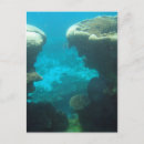 Search for continents postcards World