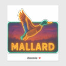 Search for mallards bumper stickers Hunting