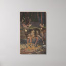 Search for does canvas prints Buck