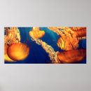 Search for marine biologist art Science