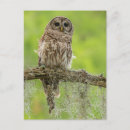 Search for cathy vertical postcards Jaynes gallery