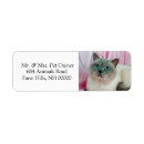 Search for pet cat return address labels Kitty
