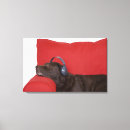 Search for bizarre canvas prints Indoors