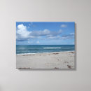 Search for florida seashells art Coast