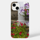 Search for window iphone cases Cottage