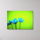 Search for daisy pictures canvas prints Photography