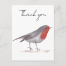 Search for robin watercolor cards Wildlife