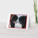 Search for newfoundland dog christmas cards Winter