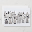 Search for baby chick thank you cards Emperor penguin