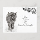 Search for winter snow wolf postcards Wild
