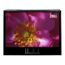 Search for crocus office supplies Photography