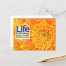 Search for challenges postcards Life