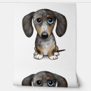 Search for pug home living Wolf