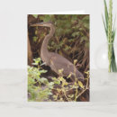 Search for under the tree cards Nature