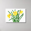 Search for yellow daffodil canvas prints Garden