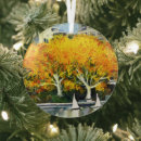 Search for central park christmas tree decorations Autumn