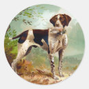 Search for bird dog stickers Puppy