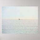 Search for humpback photography Majestic