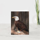 Search for eagles note cards Bird