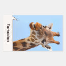 Search for funny giraffe stickers Nature