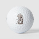 Search for elephant golf balls Wildlife